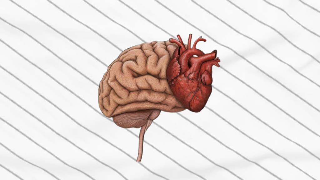 Study Uncovers Brain Targets(TMS) to Modulate Heart Rate for Depression Treatment